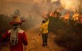 Deadly Forest Fire in Morocco Claims Life, Injures Volunteer as Crews Battle Blaze