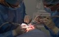 Dentists Call for Government Aid Amid Nationwide Work Stoppage