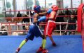 Doping Scandal and Boxer's Death Rock Moroccan Boxing Federation