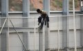 Dozens of Sub-Saharan Migrants Attempt Border Crossing into Spanish Ceuta