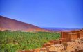 Drought and Fires Threaten Ancient Moroccan Oases, Risking Cultural and Environmental Loss
