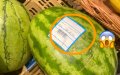 Drought-Hit Morocco Sees Watermelon Prices Soar Amid Supply Concerns