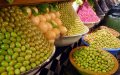 Drought and Rising Prices Slash Moroccan Olive Oil Production, Consumption