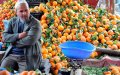 Drought Slashes Morocco's Citrus Production by 30%, Impacting Global Supply