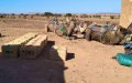 Drug Smuggling Ring Busted: Over 1 Ton of Cannabis Seized from Camel Caravan at Algerian Border