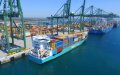 Dutch Shipping Giant Wec Lines to Liquidate Moroccan Subsidiary Amid Global Restructuring