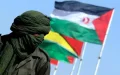 Earthquake in Morocco: the Polisario sends its sincere condolences