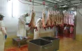 Eid al-Adha 2025 France: Sheep Shortage Changes Sacrifice Rules