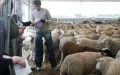 Eid al-Adha 2026: the date in France is confirmed
