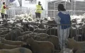 Eid al-Adha 2026 France Date Saudi Arabia Announcement