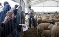 Eid al-Adha Set for July 20 in France, Muslims Urged to Exercise Caution Amid COVID-19