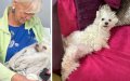 Elderly Belgian Tourist's Morocco Trip Turns Disastrous: Dog Lost, Airline Complaint Filed