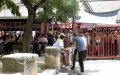Elderly Man Killed by Heifer During Village Festival in Southern France