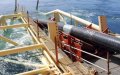 EllaLink Submarine Cable to Connect Morocco in Major Transatlantic Internet Expansion