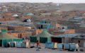 European Parliament Urged to Investigate Aid Diversion in Tindouf Refugee Camps