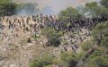 UN Experts to Issue Recommendations on Melilla Border Tragedy to Morocco and Spain