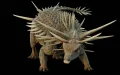 An Extraordinary Dinosaur Discovered in Morocco