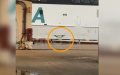 Ferry Collision Rocks Algeciras Port: Baleària Vessel Damaged in Docking Mishap