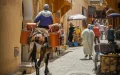 Fès wins Mayors Challenge 2026 award and $1 million for urban innovation