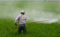 UK Firm Exports Banned Pesticides to Developing Countries, Investigation Finds