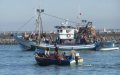 Fishing Boat Sinks Off Moroccan Coast: 2 Dead, 3 Missing, 11 Rescued