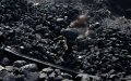 Forest Fire Exposes Illegal Charcoal Industry in Morocco's El Hajeb Region