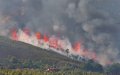 Forest Fires Rage Across Northern Morocco, Overwhelming Firefighters