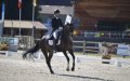 Former Moroccan Dressage Champion Faces Trial for Alleged Rape of Minors in Belgium