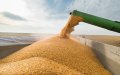 France Becomes Top Wheat Supplier to Morocco, Strengthening Ties