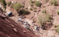 France Offers Condolences After Deadly Bus Crash in Morocco Claims 24 Lives