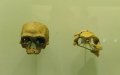 France to Repatriate 35,000 Ancient Artifacts to Morocco After Customs Seizure