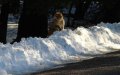 Freezing Temperatures Grip Morocco as Cold Snap Continues
