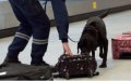 French ARTE Journalist Arrested at Moroccan Airport for Hashish Possession