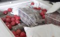 French Customs Seize 777 kg of Moroccan Cannabis Disguised as Tomatoes