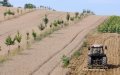 French Farmer Charged with Human Trafficking, Exploiting Moroccan Workers