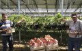 French Farmer Fights to Keep Moroccan Worker Facing Deportation