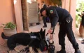 French fugitive arrested Casablanca money laundering weapons