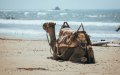 French Retirees Flock to Agadir as Morocco Becomes Top Retirement Destination