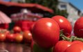 French Tomato Industry Struggles as Moroccan Imports Surge