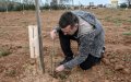 French Winegrowers Turn to Drought-Resistant Moroccan Argan Trees