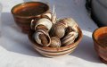 Gas Price Hike Sparks Surge in Moroccan Snail Dish Costs