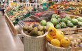 German Produce Market Shifts: Moroccan Tomato Imports Surge as Spanish Sales Decline