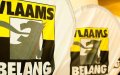 Ghent's Multilingual Low Emission Zone Posters Spark Political Debate