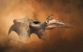 Giant Pterosaur Fossil Unearthed in Moroccan Phosphate Deposits