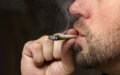 Global Cannabis Prices Surge as Coronavirus Disrupts Supply Chains