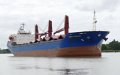 Grain Ships Depart Ukraine for Morocco, Germany Despite Russian Agreement Suspension