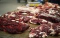 Grisly Discovery in Casablanca Raises Concerns Over Illegal Meat Trade