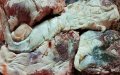 Health Experts Warn of Meat Safety Risks During Morocco's Eid al-Adha Heatwave