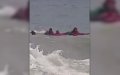 Heroic Rescue: Swimmer Braves Dangerous Waves to Save Young Girl off Spanish Coast