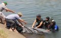 Heroic Senegalese Man Dies Attempting to Rescue Dog from Moroccan Pond